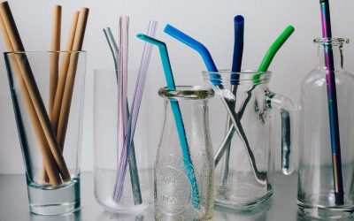Why Switch to Reusable Straws? – 5 Reasons You Simply Can’t Ignore