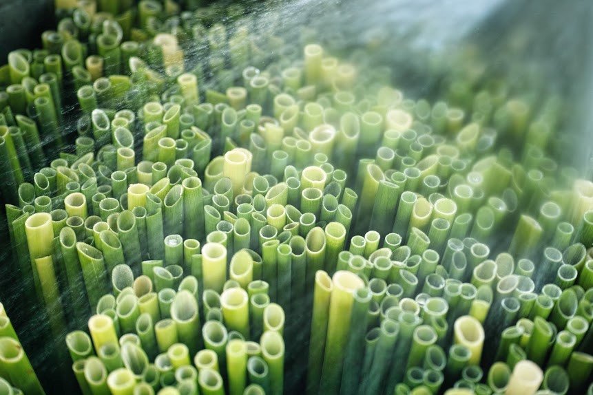 Grass Straws – The real plastic straw alternative