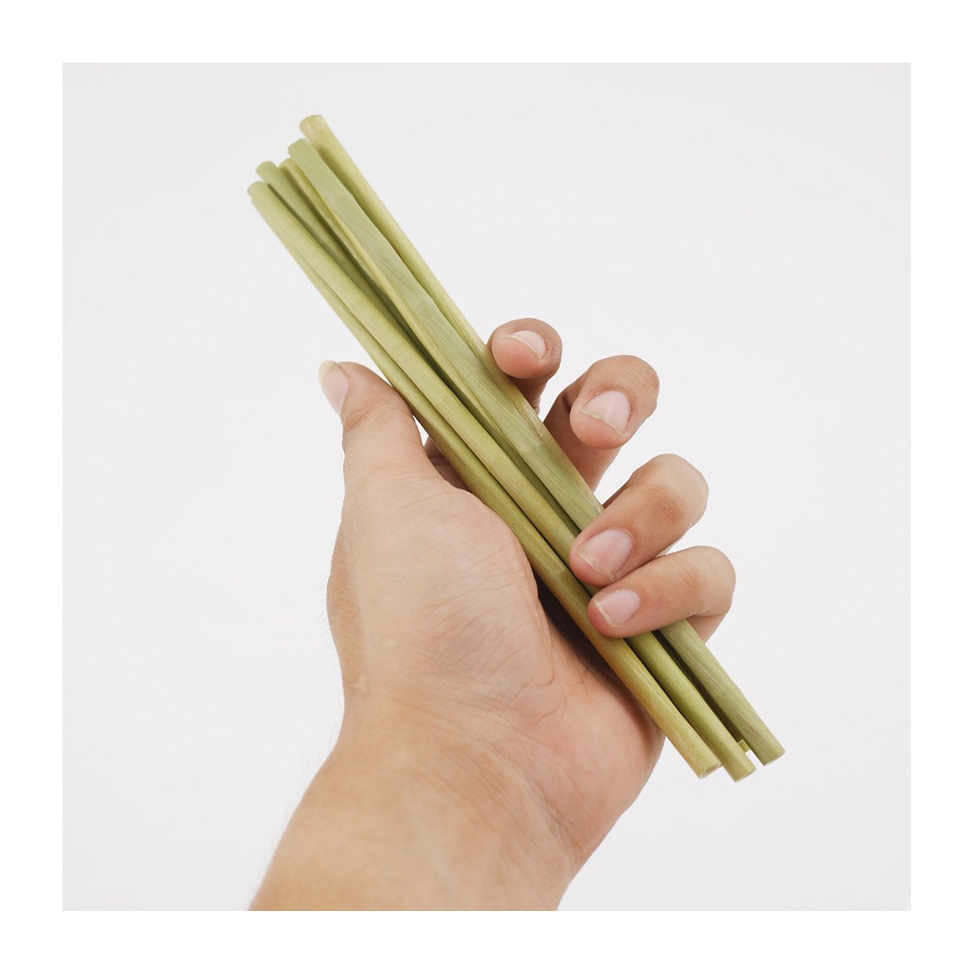 Grass Straws: An Eco-Friendly Product Originated From Vietnam