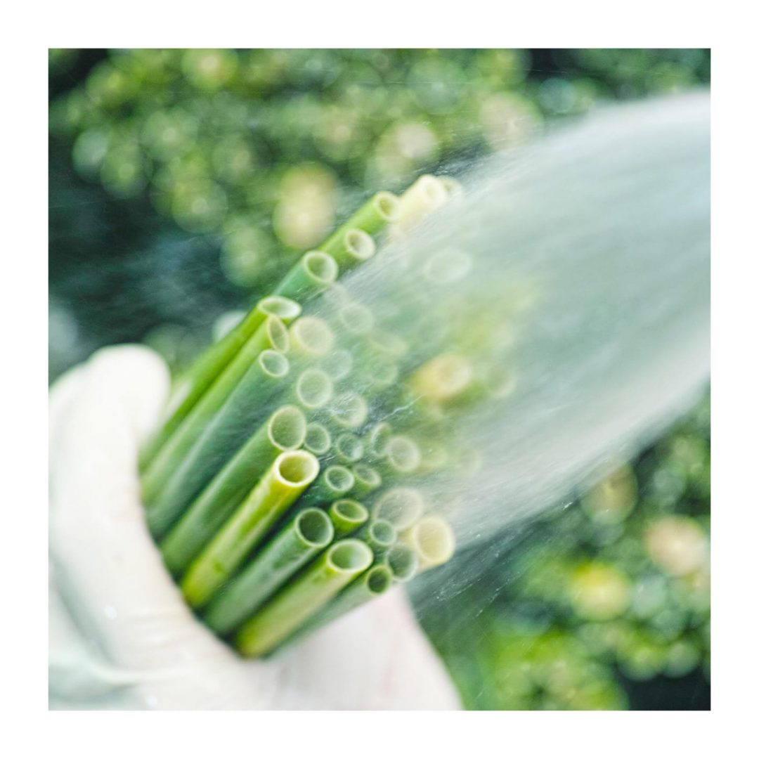 Grass Straws Organic Straw