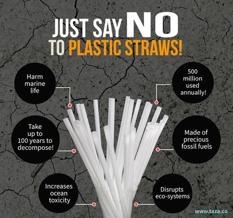 https://organicstraw.vn/wp-content/uploads/2019/07/straw.jpg