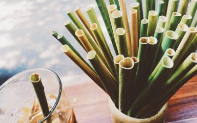 Are reusable straws better than plastic? We have the answer