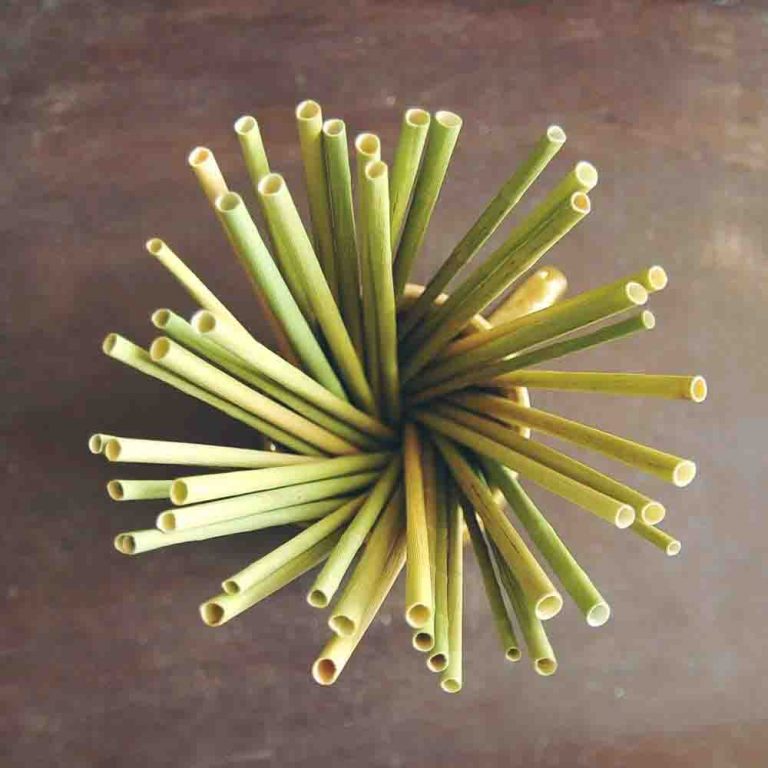 everything-about-grass-straws-organic-straw