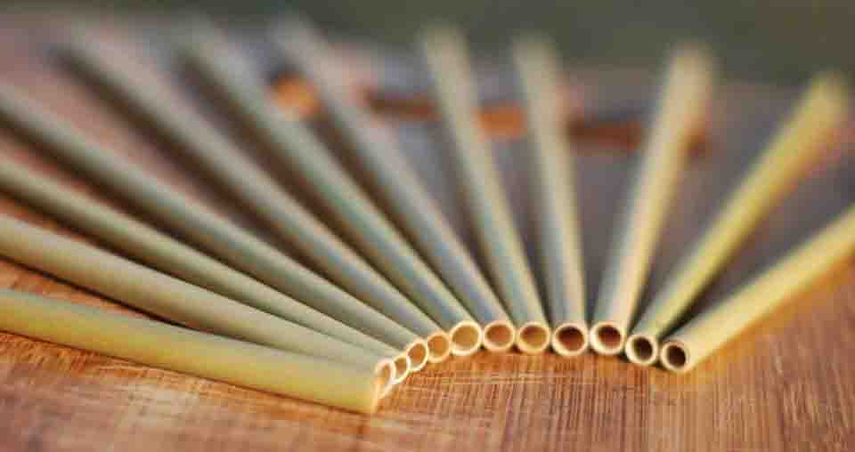 Custom Bamboo Drinking Straws - Laser Engraved